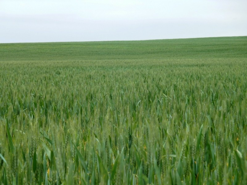 - Fisher Road, Taldra SA 5311