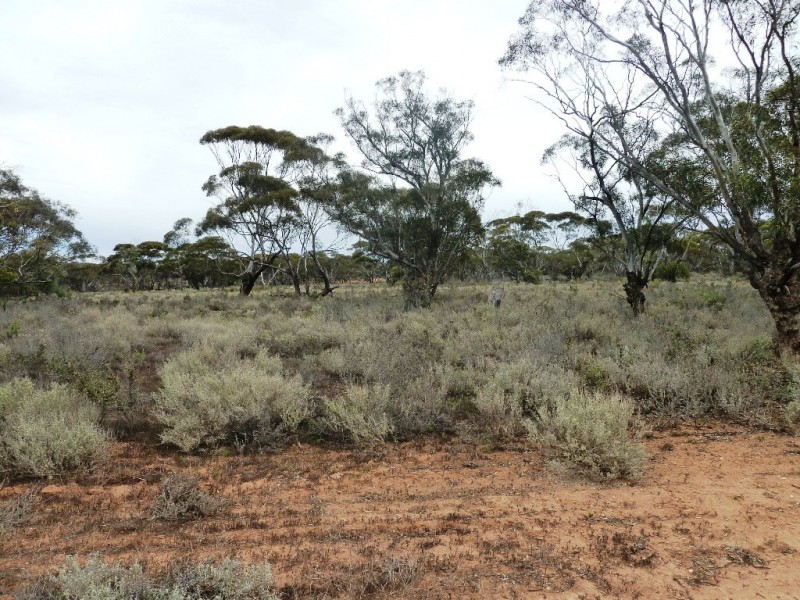 - Fisher Road, Taldra SA 5311