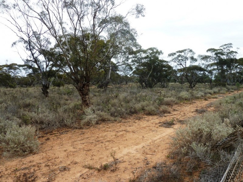 - Fisher Road, Taldra SA 5311