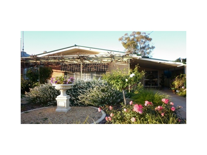 20 Twelfth Street, Renmark SA 5341