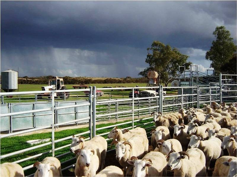Section 33 , 39, 201, 203 and 27, 50 Hundred of Kingsford, Kringin SA 5304