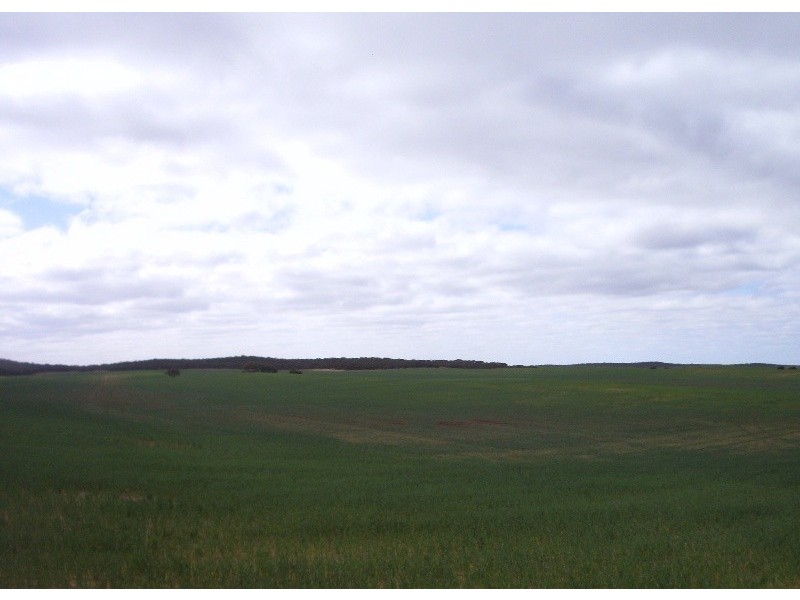 Section 33 , 39, 201, 203 and 27, 50 Hundred of Kingsford, Kringin SA 5304