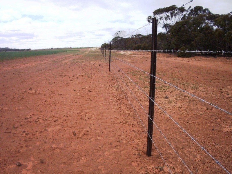 Section 33 , 39, 201, 203 and 27, 50 Hundred of Kingsford, Kringin SA 5304