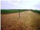 Section 33 , 39, 201, 203 and 27, 50 Hundred of Kingsford, Kringin SA 5304