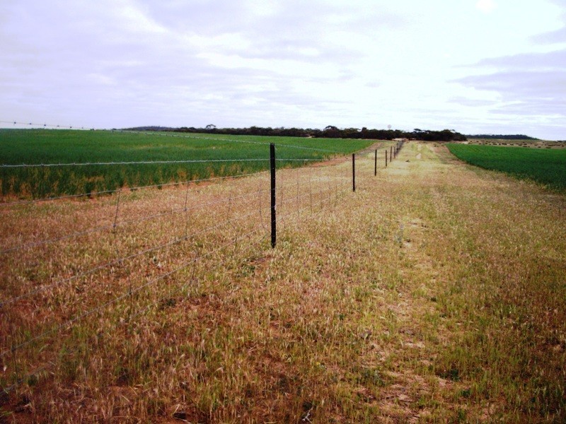 Section 33 , 39, 201, 203 and 27, 50 Hundred of Kingsford, Kringin SA 5304