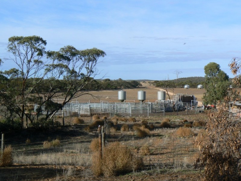 Section 33 , 39, 201, 203 and 27, 50 Hundred of Kingsford, Kringin SA 5304