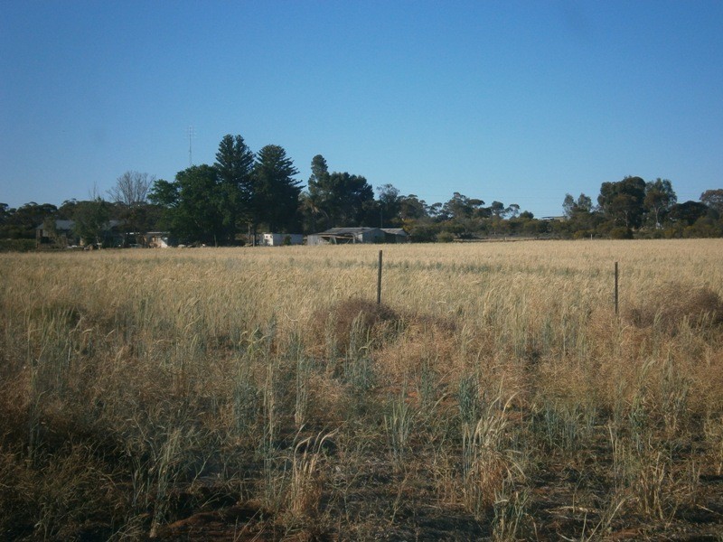 Allotment 3 Goyder Highway, Taylorville SA 5330