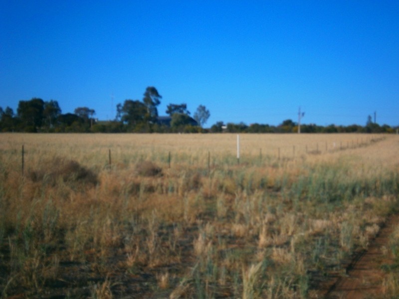 Allotment 4 Goyder Highway, Taylorville SA 5330
