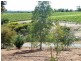 356 Karoonda Highway, Loxton SA 5333
