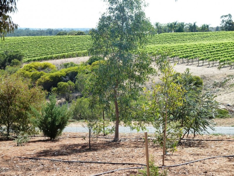 356 Karoonda Highway, Loxton SA 5333