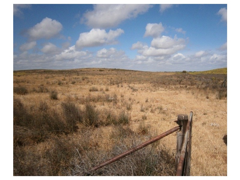 Allotment 6 Stott Highway, Swan Reach SA 5354