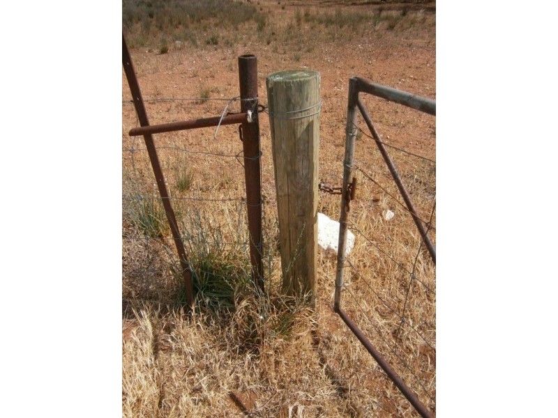 Allotment 6 Stott Highway, Swan Reach SA 5354