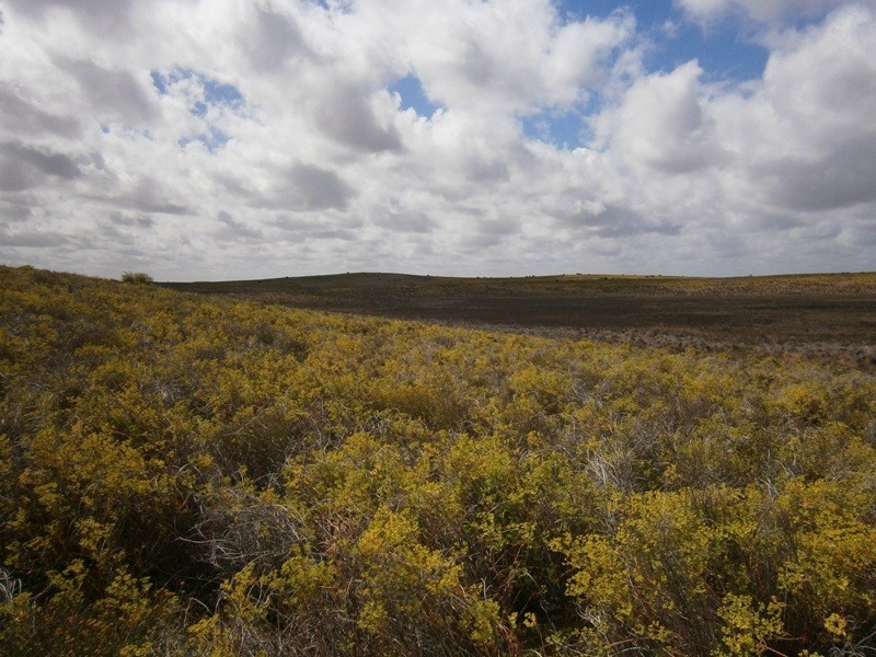 Allotment 6 Stott Highway, Swan Reach SA 5354