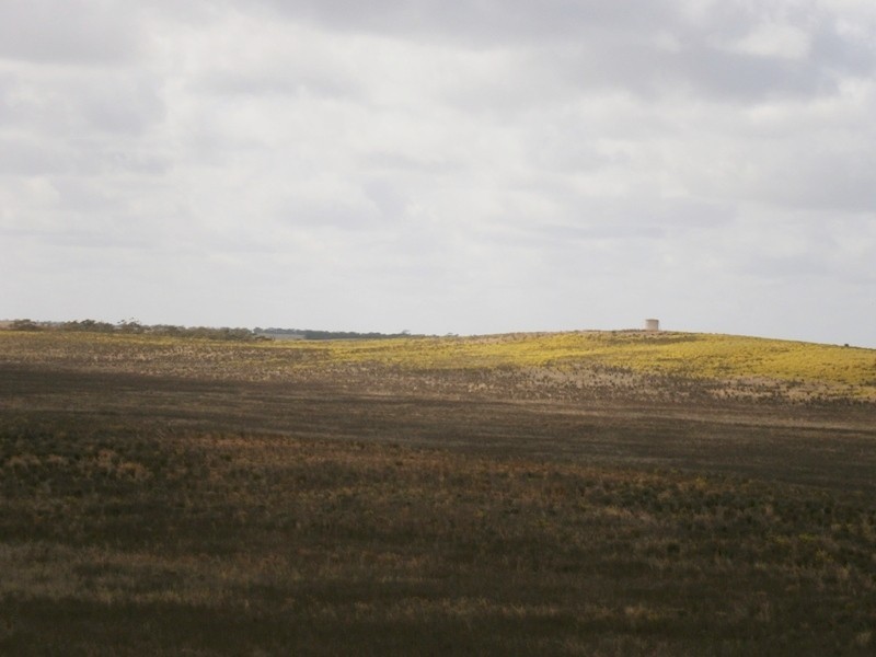 Allotment 6 Stott Highway, Swan Reach SA 5354