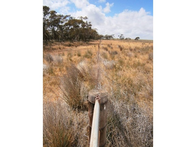 Allotment 6 Stott Highway, Swan Reach SA 5354