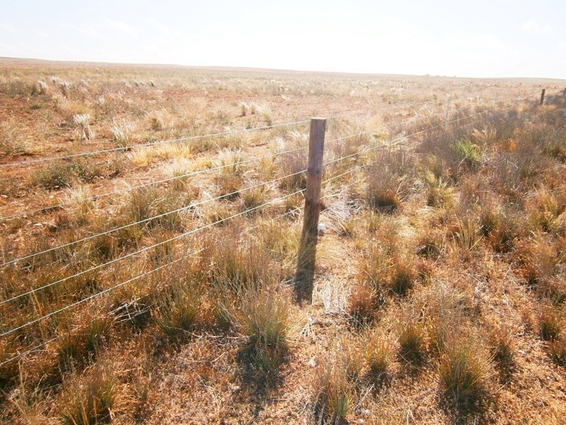 Allotment 4 Stott Highway, Swan Reach SA 5354