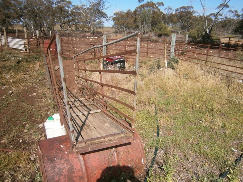 Allotment 4 Stott Highway, Swan Reach SA 5354