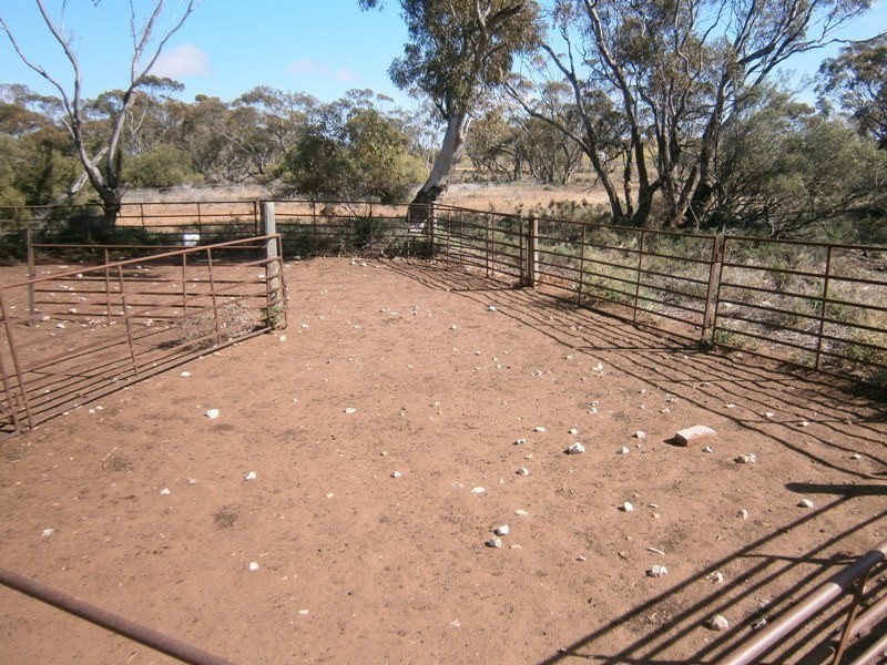 Allotment 4 Stott Highway, Swan Reach SA 5354