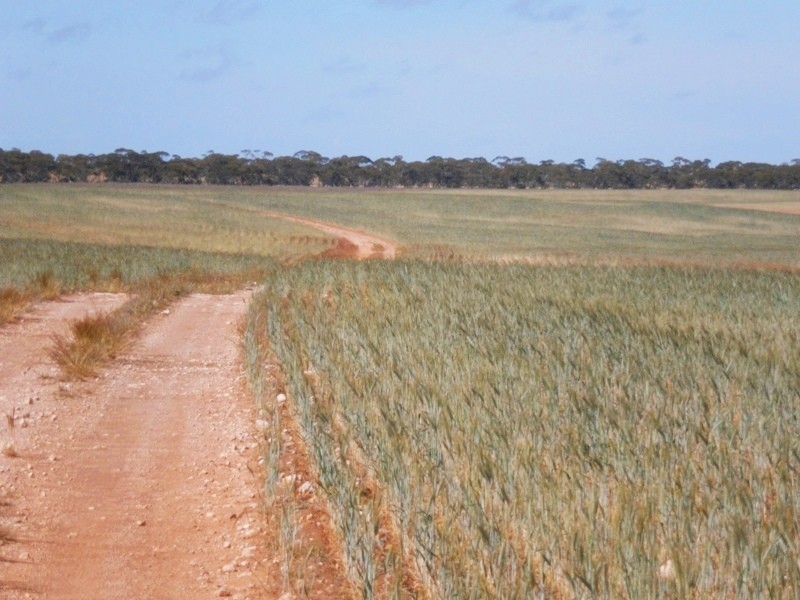 Allotment 4 Stott Highway, Swan Reach SA 5354