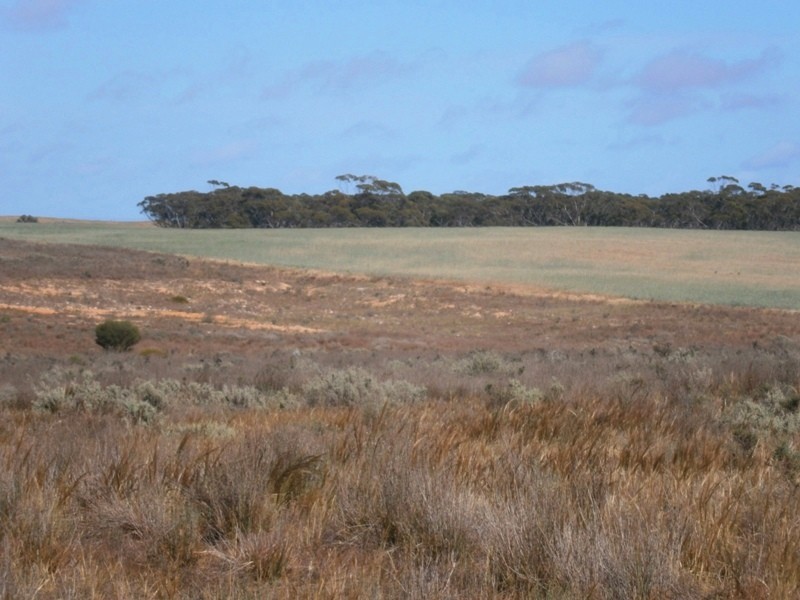Allotment 4 Stott Highway, Swan Reach SA 5354