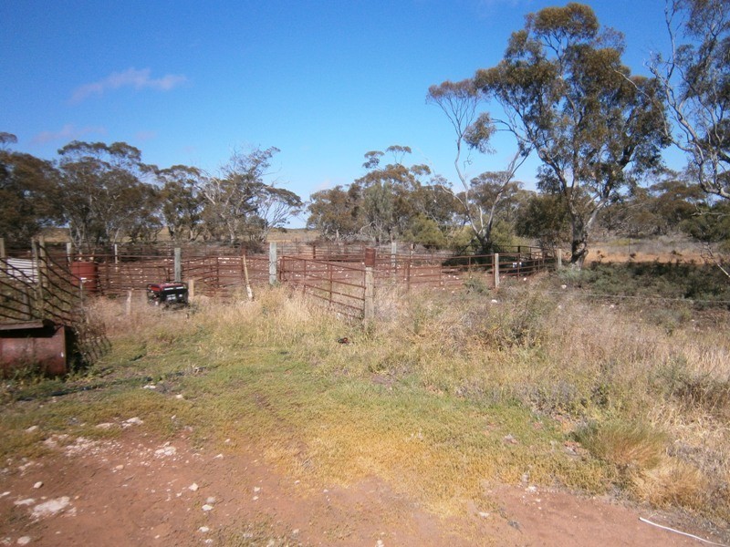 Allotment 4 Stott Highway, Swan Reach SA 5354