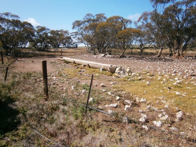 Allotment 4 Stott Highway, Swan Reach SA 5354