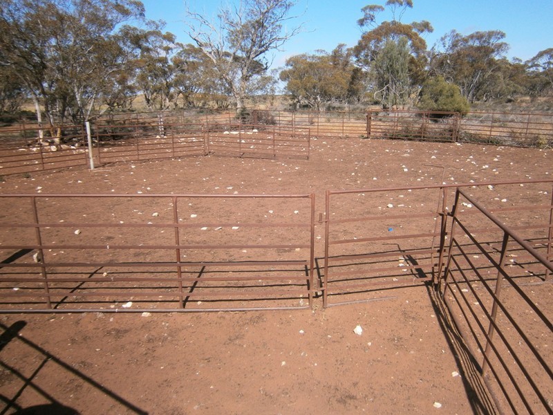 Allotment 4 Stott Highway, Swan Reach SA 5354