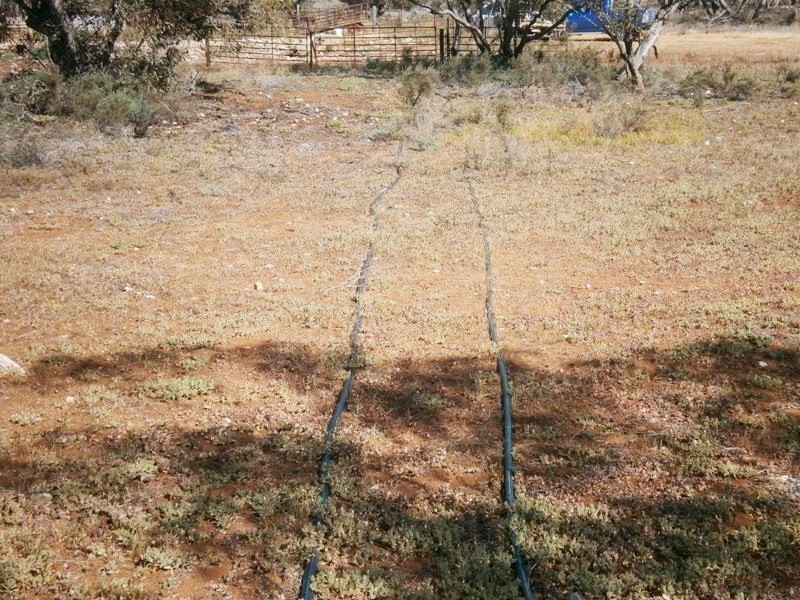 Allotment 4 Stott Highway, Swan Reach SA 5354