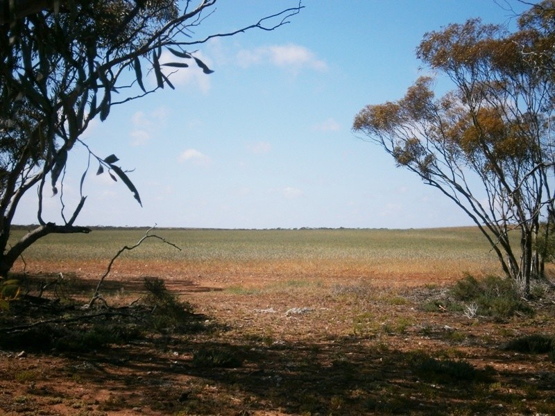 Allotment 4 Stott Highway, Swan Reach SA 5354