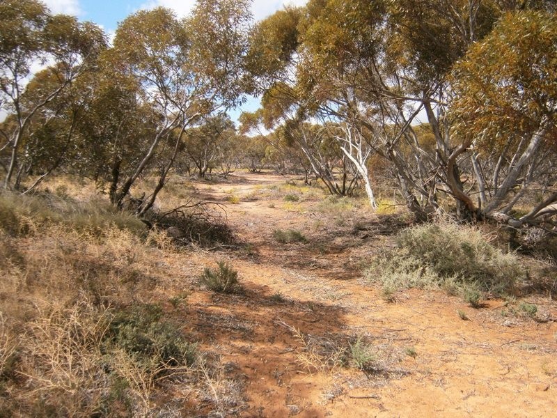 Allotment 4 Stott Highway, Swan Reach SA 5354