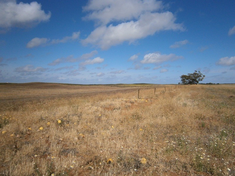 Allotment 7 Government Road, Swan Reach SA 5354