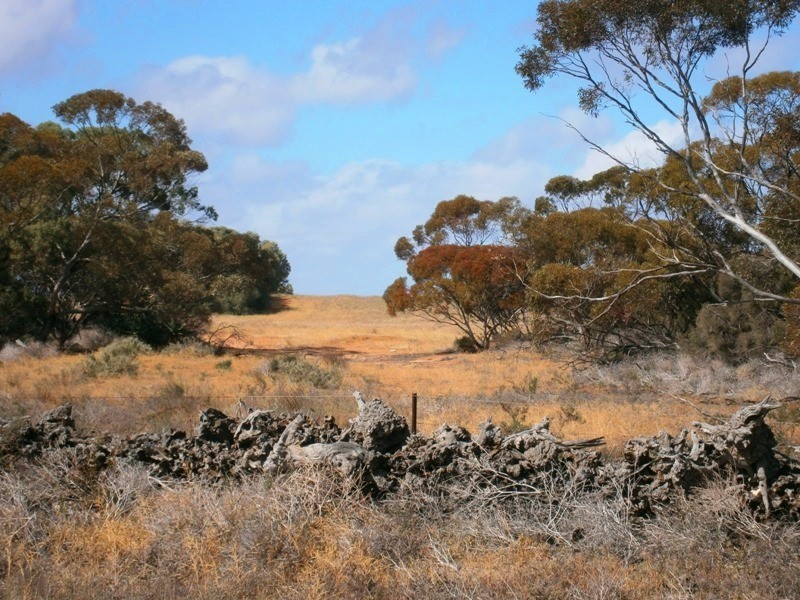 Allotment 7 Government Road, Swan Reach SA 5354