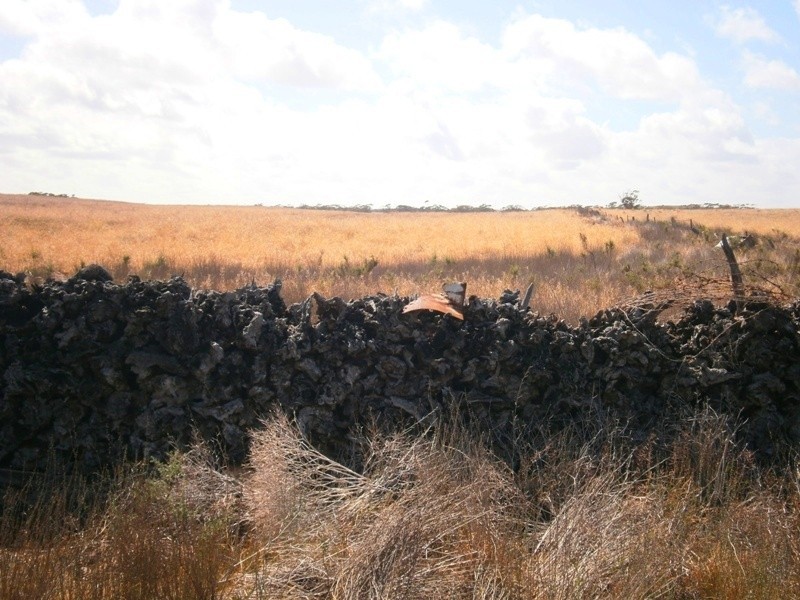 Allotment 7 Government Road, Swan Reach SA 5354
