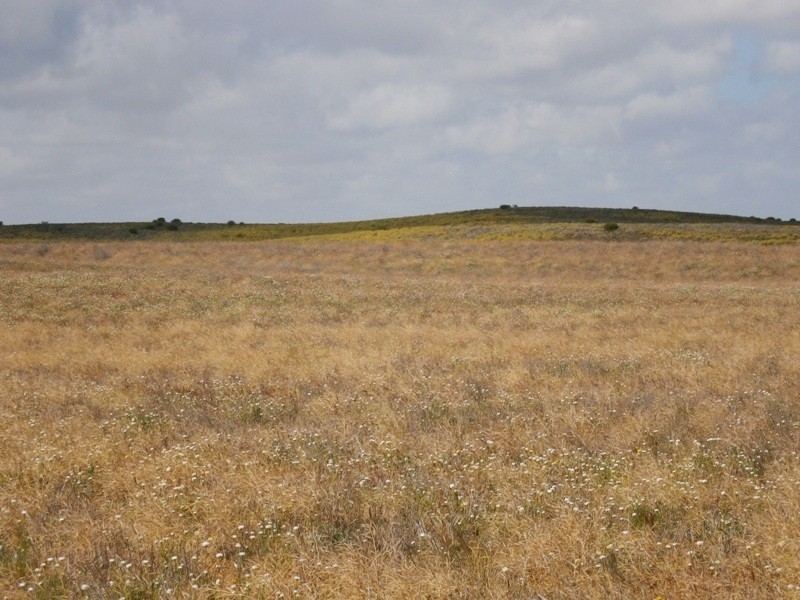 Allotment 7 Government Road, Swan Reach SA 5354