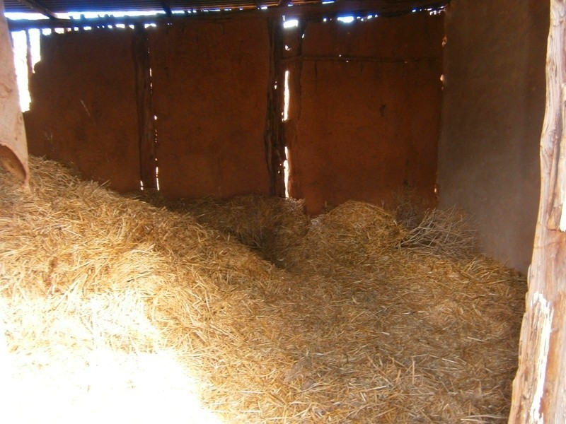 Allotment 7 Government Road, Swan Reach SA 5354