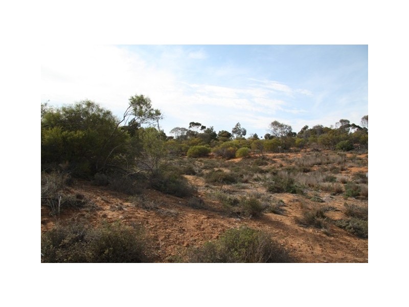 42 Wheatley Rd, Loxton SA 5333