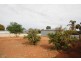 9 Wodonga Ave, Loxton SA 5333