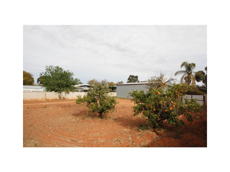 9 Wodonga Ave, Loxton SA 5333