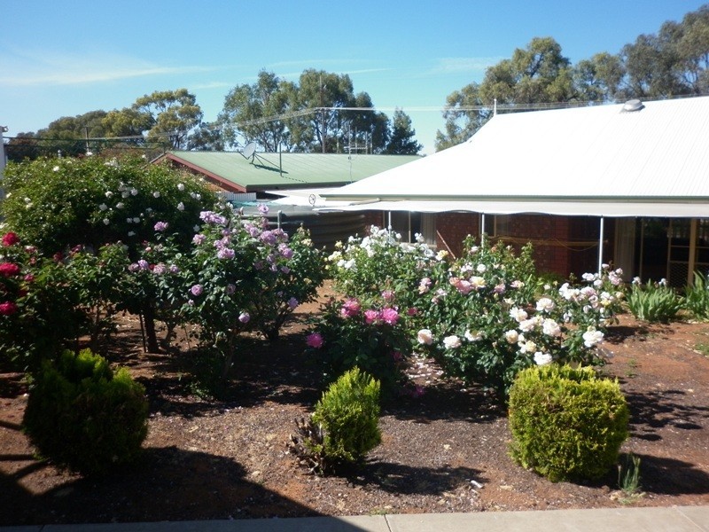 47 Hughes Avenue, Paringa SA 5340