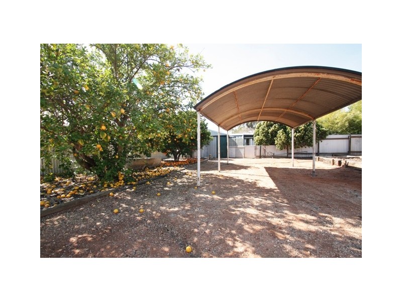 24 WODONGA, Loxton SA 5333