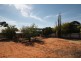 24 WODONGA, Loxton SA 5333