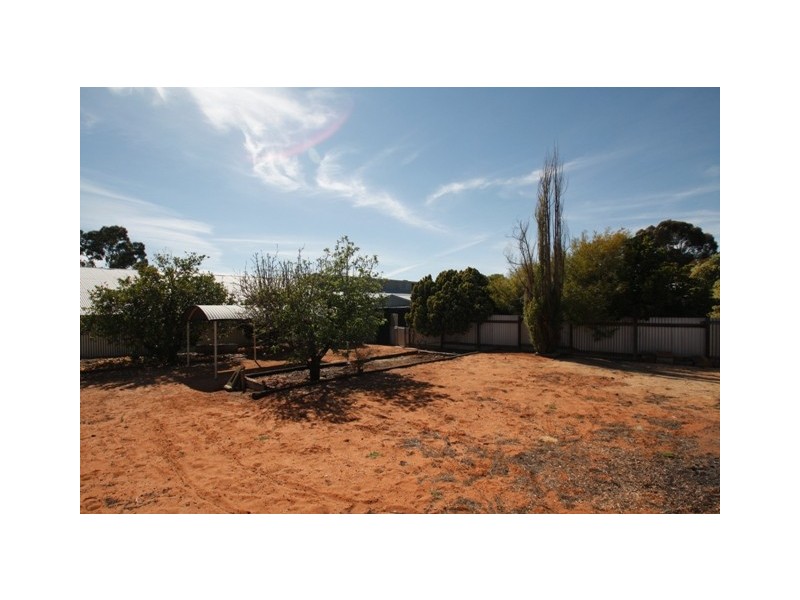 24 WODONGA, Loxton SA 5333