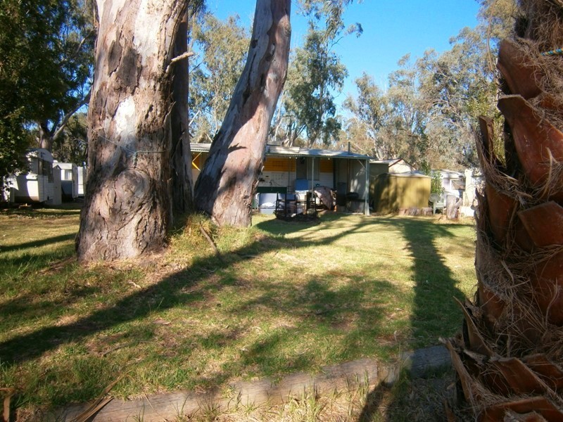 165 Scott’s Creek shack Road, Morgan SA 5320