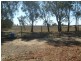 17163 Sturt Highway, Barmera SA 5345