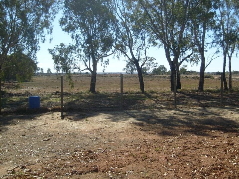 17163 Sturt Highway, Barmera SA 5345