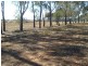 17163 Sturt Highway, Barmera SA 5345