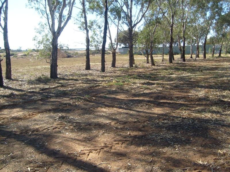 17163 Sturt Highway, Barmera SA 5345