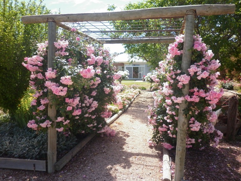 202 Warrego Street, Renmark SA 5341