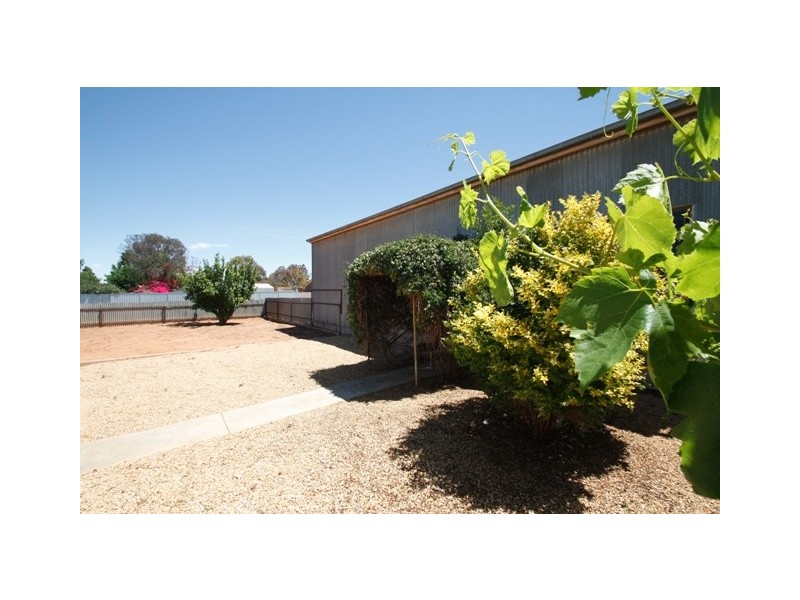 10 Wodonga Avenue, Loxton SA 5333