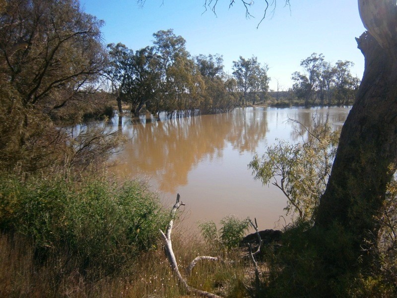 Lot 10 Nikalapko Boundary Road, Taylorville SA 5330